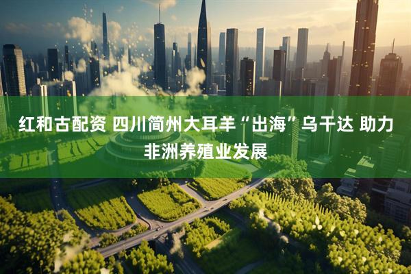 红和古配资 四川简州大耳羊“出海”乌干达 助力非洲养殖业发展
