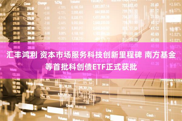 汇丰鸿利 资本市场服务科技创新里程碑 南方基金等首批科创债ETF正式获批