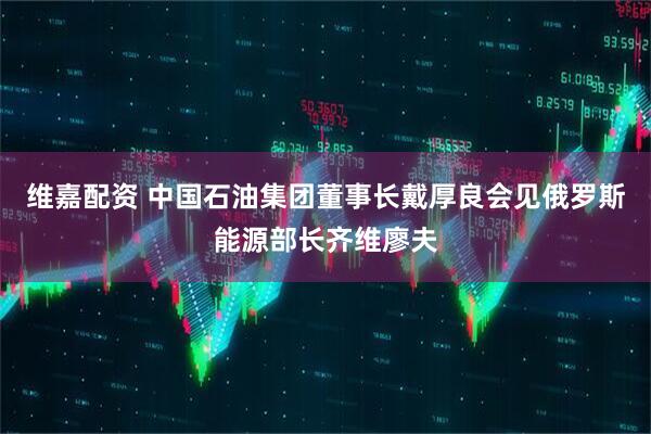 维嘉配资 中国石油集团董事长戴厚良会见俄罗斯能源部长齐维廖夫